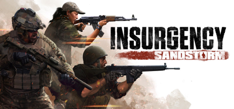 Insurgency